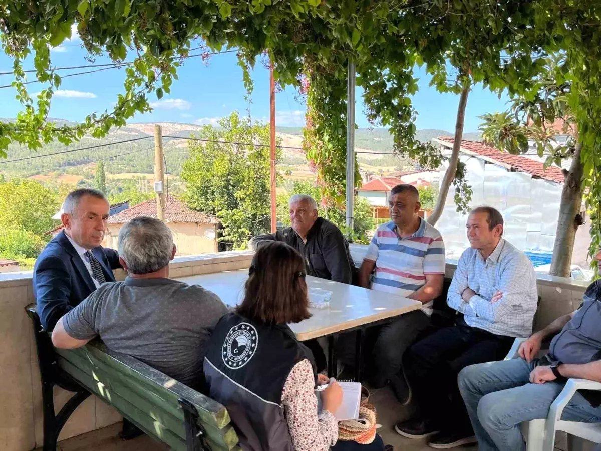 bilecikte tarimsal incelemeler lcVvVnky