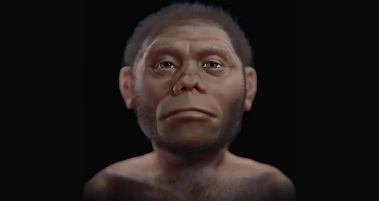 bilim insanlari hobbitlerin neden bu kadar kucuk oldugunu acikladi rnMjP9Ac