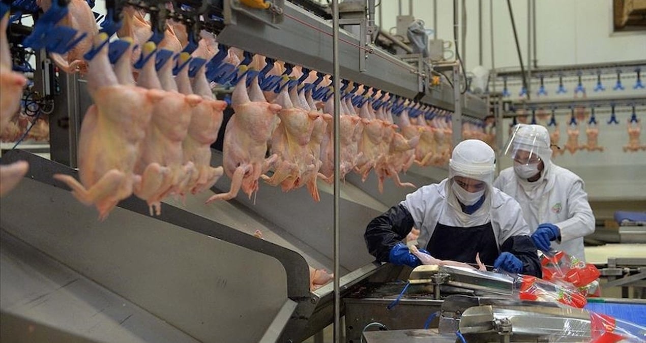 rekabet kurulundan unlu et markalarina 37 milyar tl ceza s3jr3XiE