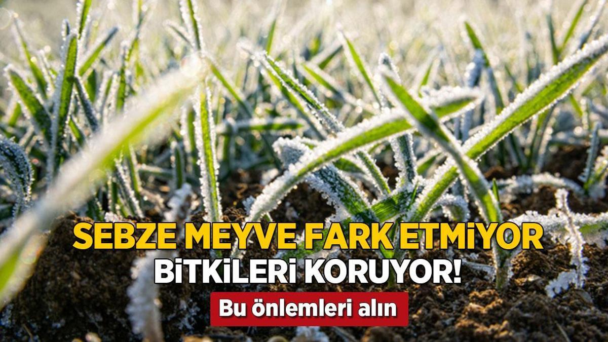 sebze ve meyve fark etmez bu kucuk dokunus dona dur diyor FICxknsz.jpg