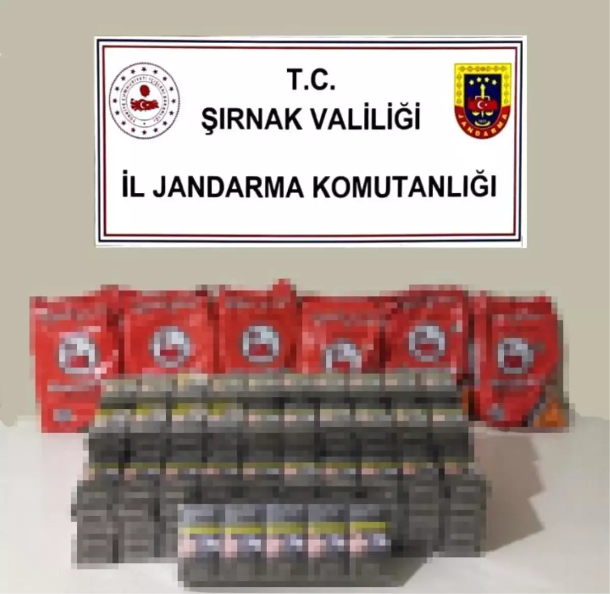 sirnakta kacakciliga buyuk darbe smukEv4Y.jpg