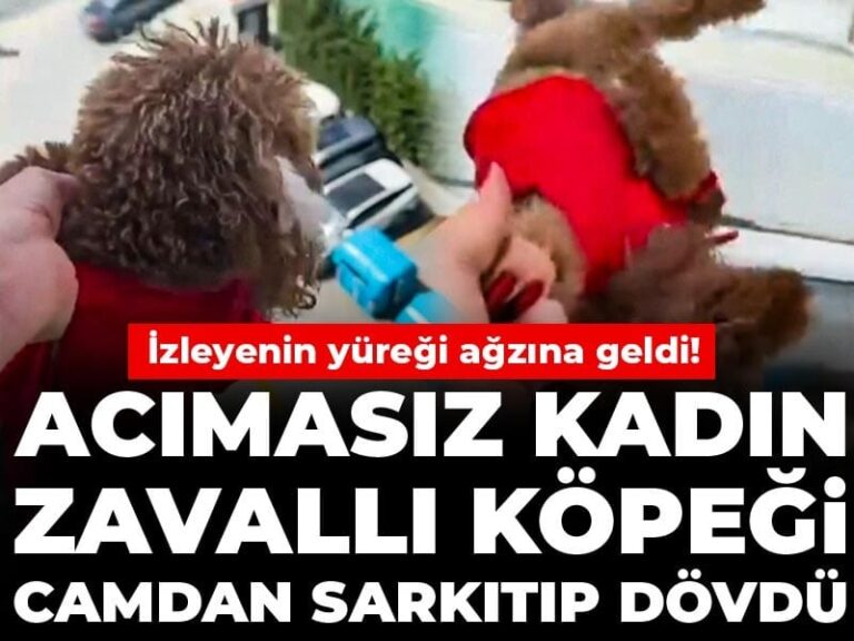 izleyenin-yuregi-agzina-geldi-acimasiz-kadin-zavalli-kopegi-camdan-sarkitip-dovdu-buMIzrXn