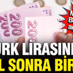 merkez-bankasi-acikladi-turk-lirasi-6-yil-sonra-ilki-gordu-Qhfjj9fx