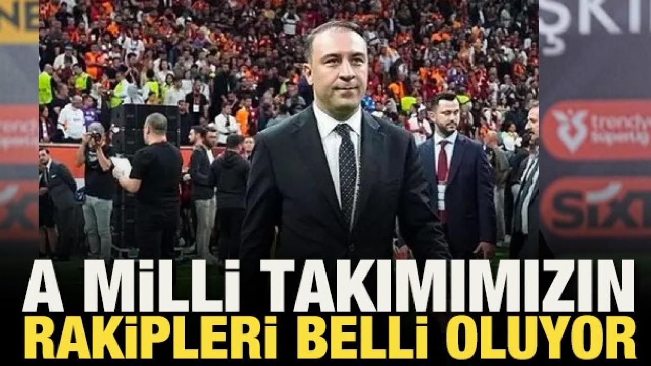 Bahis yaptigi iddia edilen galatasaray baskan vekili maruf gunes serbest birakildi V7MRUZvi
