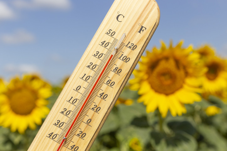 Son dakika meteoroloji hava durumu raporu 19 temmuz 2026 bugun pazar hava nasil 8EULZZv9